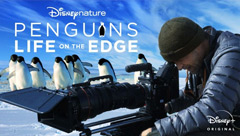 Life on the Edge: Penguins Behind the Scenes