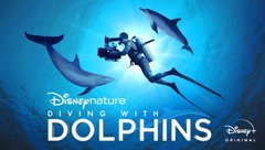 Diving With Dolphins: Dolphin Reef Behind the Scenes