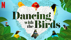 Dancing with the Birds